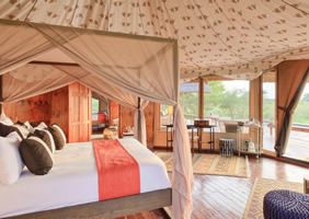 Feline Fields Lodge family suite