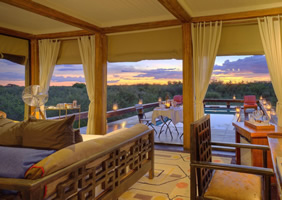 Feline Fields Lodge pool suit view