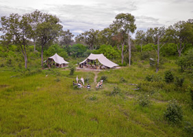 Feline Fields Vintage Camp