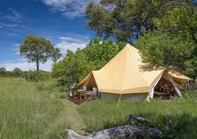 Feline Fields Vintage Camp Tent