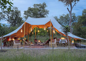 Feline Fields Vintage Camp lounge tent