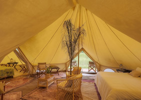 Feline Fields Vintage Camp tent
