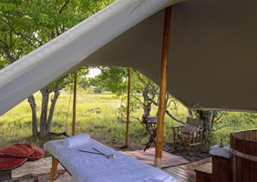 Feline Fields Vintage Camp wellness tent