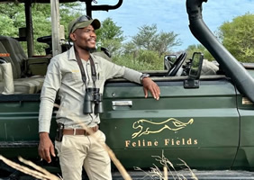 Feline Fields game drive