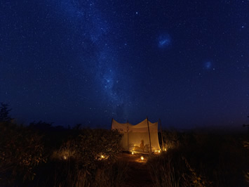 Botswana night under stars