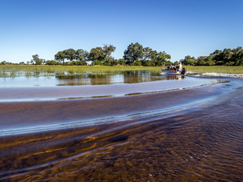 Okavango delta gay safari