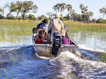 Okavango delta safari