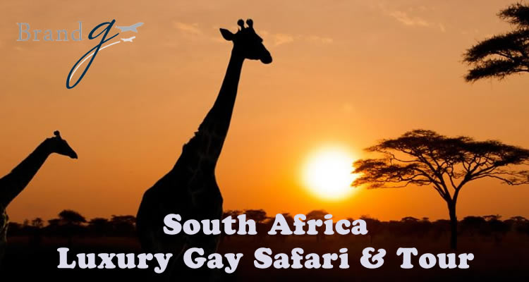 South Africa Gay Safari & Tour