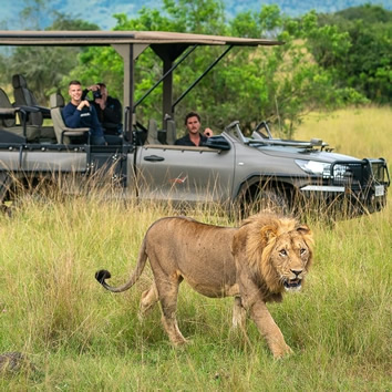 Africa luxury gay safari tour
