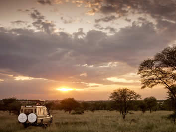 Serengeti gay safari