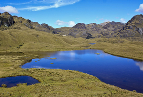 Exclusively Gay Ecuador Tour - El Cajas
