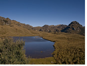 Ecuador Gay Tour - El Cajas National Park