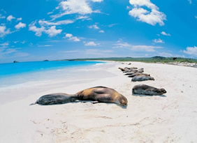Exclusively Gay Galapagos Tour