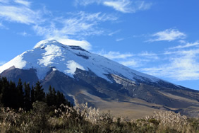 Exclusively Gay Ecuador Tour