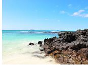 Galapagos Gay Tour - Santa Cruz Island