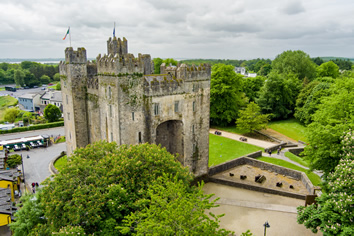Ireland gay tour - Bunratty Castle