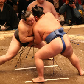 Japan gay tour - sumo