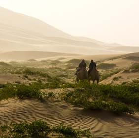 Mongolia desert