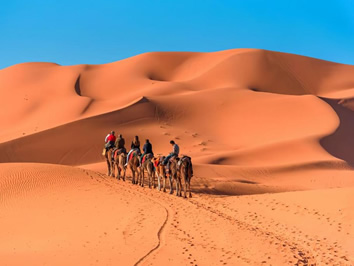Sahara camel ride