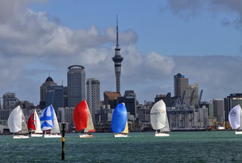 Gay Auckland tour