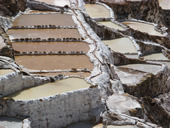 Peru Gay Tour - Maras Salt Mines