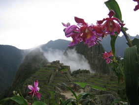 Exclusively Gay Machu Picchu Travel