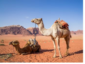 Wadi Rum desert gay tour