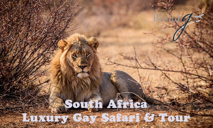 South Africa Luxury Gay Safari & Tour