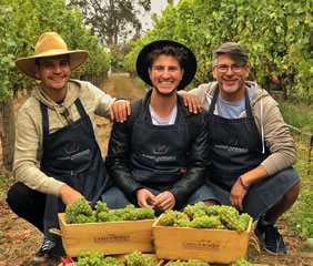 Chile gay tour winery