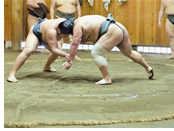 Sumo class Tokyo