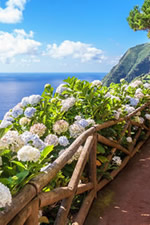 Azores Gay Tour