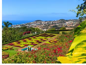 Madeira gay trip