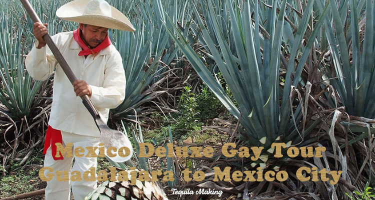 Mexico Deluxe Gay Tour
