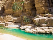 Oman gay tour - Wadi Shab