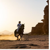 Kingdom Saudi Arabia Tour