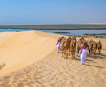 Saudi Arabia gay travel