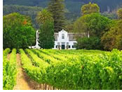 South Africa gay tour - Cape Winelands