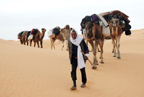 Tunisia beduin desert