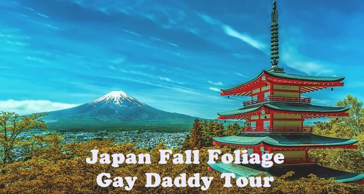 Japan Fall Foliage Gay Daddy Tour