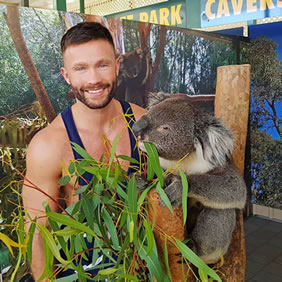 Australia gay tour koala