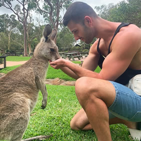 Australia gay tour kangaroo