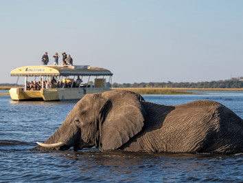 Chobe National Park gay safari tour