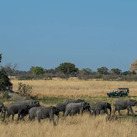 Okavango Delta gay safari