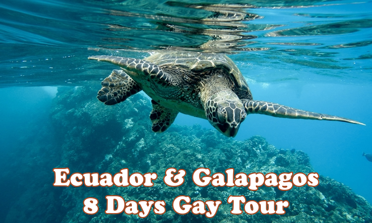 Ecuador & Galapagos Gay Tour