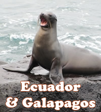 Galapagos gay tour