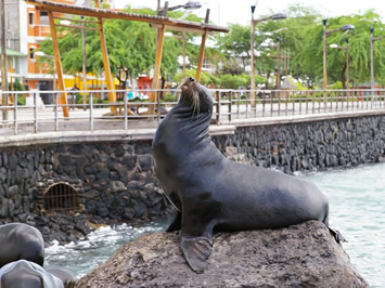 Galapagos Islands gay travel