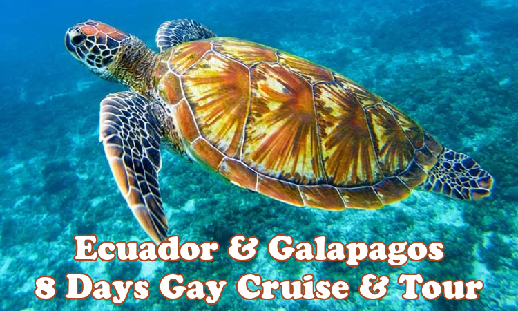 Ecuador & Galapagos Gay Cruise & Tour