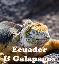 Galapagos gay cruise
