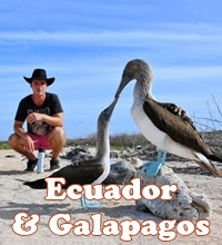 Galapagos gay cruise