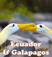Galapagos gay cruise